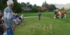 Image 05 600x300